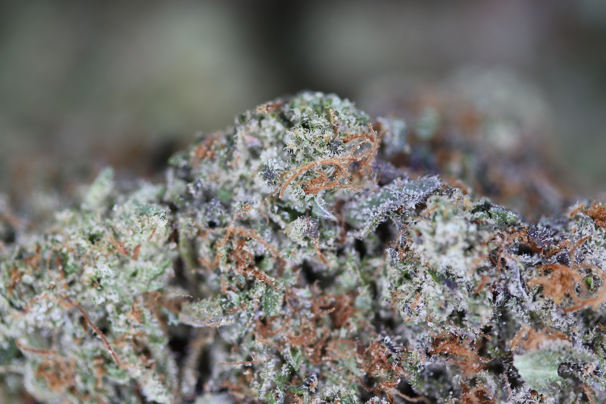 Tire Fire Indica Anxiety Reduction Tire Fire Indica Anxiety Reduction