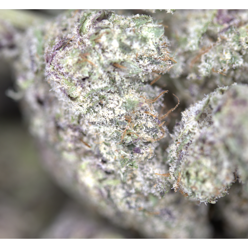 Blueberry Gelato (1/2lb) Bulk Anxiety Aid Blueberry Gelato (1/2lb) Bulk Anxiety Aid