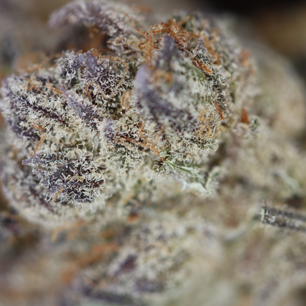 The One Hybrid Cannabis Flower The One Hybrid Cannabis Flower