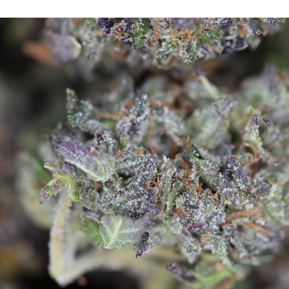 Death Star Smalls Indica Cannabis Flower Death Star Smalls Indica Cannabis Flower