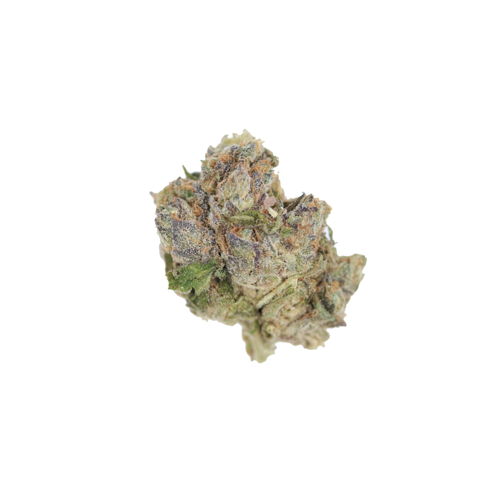 Elephant Ears Hybrid Cannabis Flower Elephant Ears Hybrid Cannabis Flower