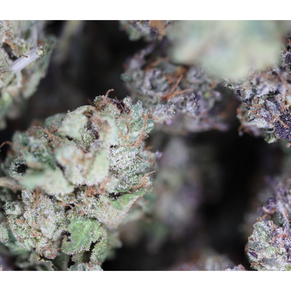 Gas Mask Smalls Indica Cannabis Flower Gas Mask Smalls Indica Cannabis Flower