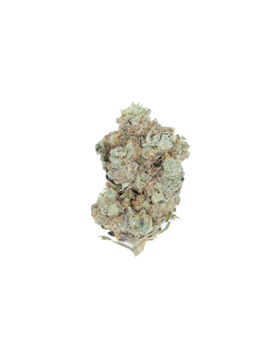 Mango Lassi Hybrid Cannabis Flower Mango Lassi Hybrid Cannabis Flower