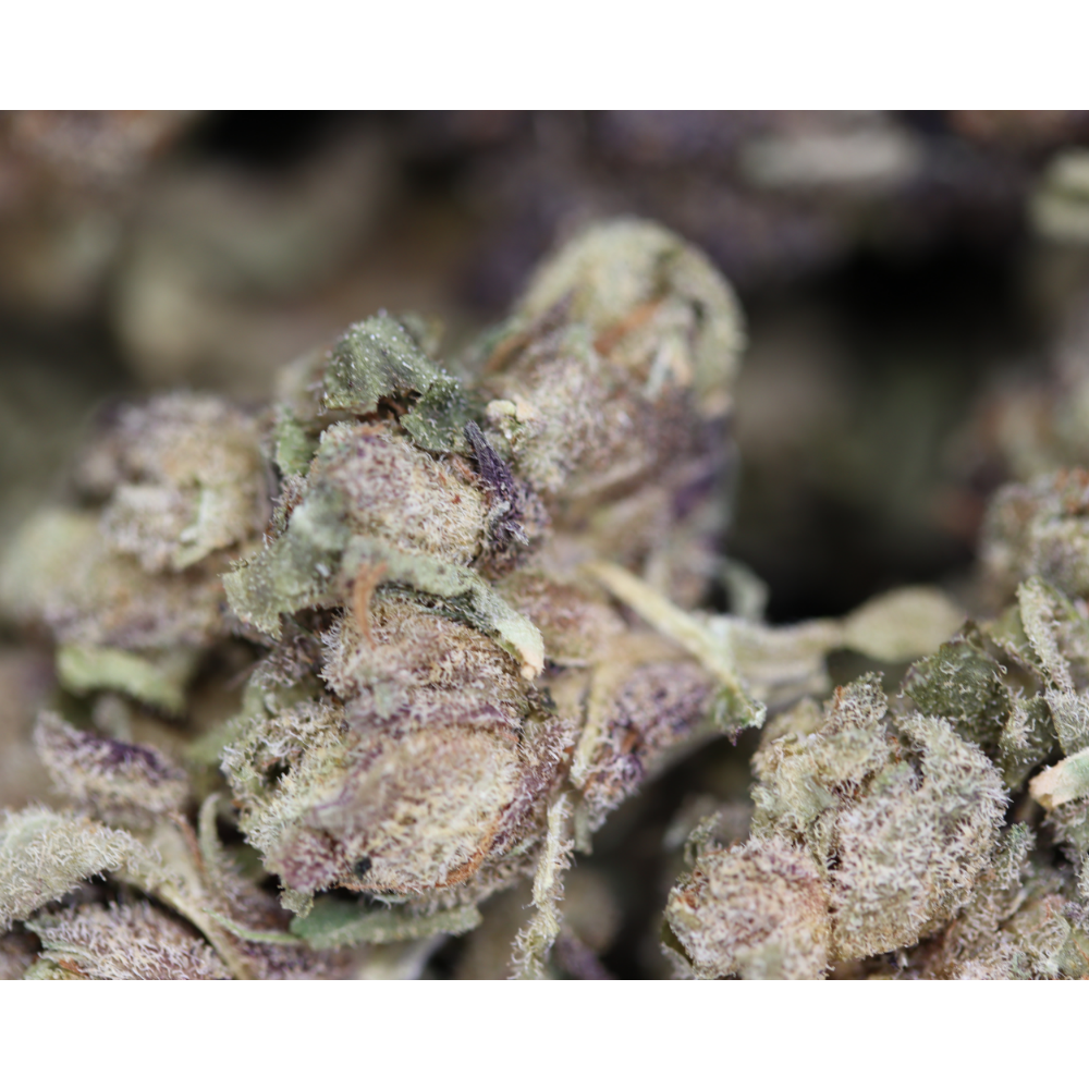 Pineapple Fruz (1/2lb) Bulk Cannabis Flower Pineapple Fruz (1/2lb) Bulk Cannabis Flower