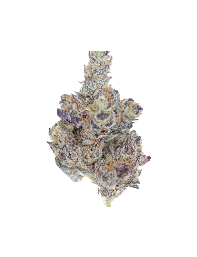 Purple Truffle Hybrid Cannabis Flower Purple Truffle Hybrid Cannabis Flower