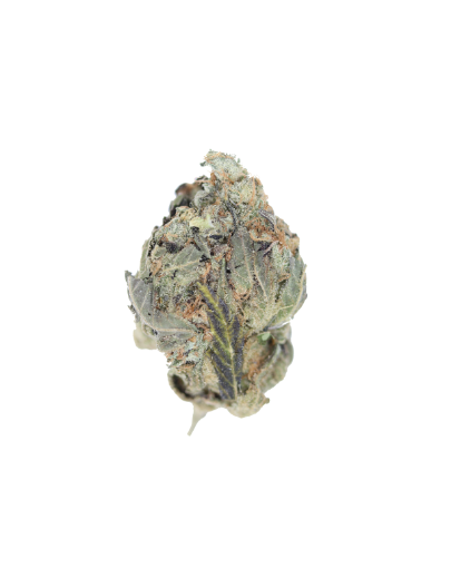 Strawberry Amensia Sativa Cannabis Flower Strawberry Amensia Sativa Cannabis Flower