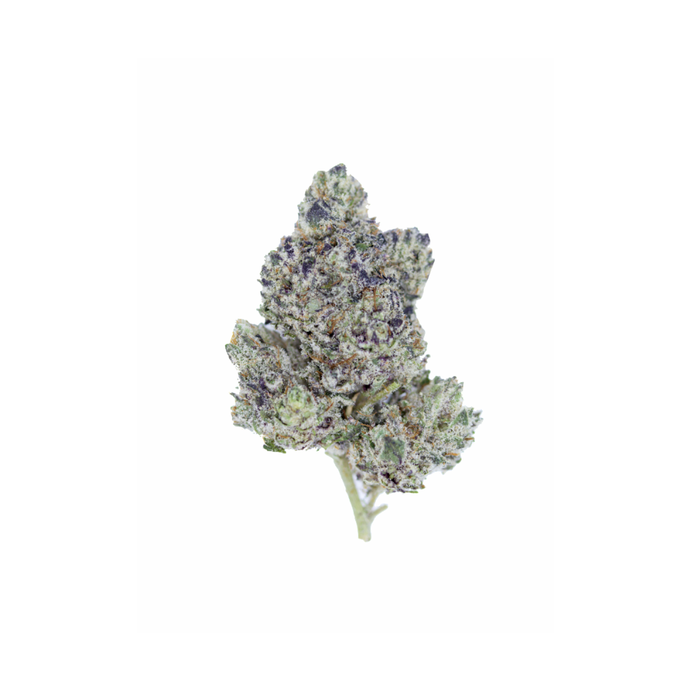 Blueberry Gelato (1/2lb) Bulk Anxiety Aid Blueberry Gelato (1/2lb) Bulk Anxiety Aid