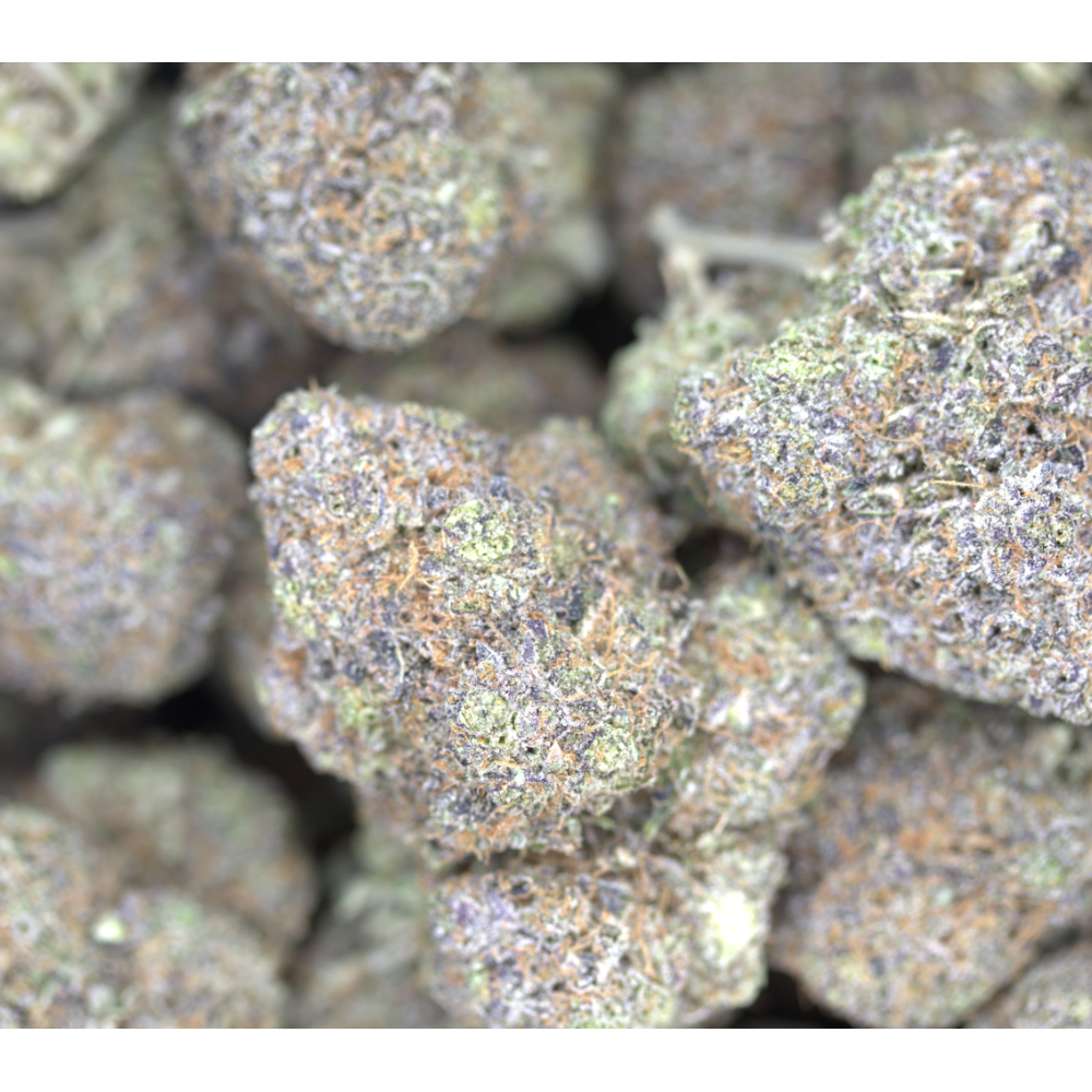 Clementine Sherbet Hybrid Cannabis Flower Clementine Sherbet Hybrid Cannabis Flower