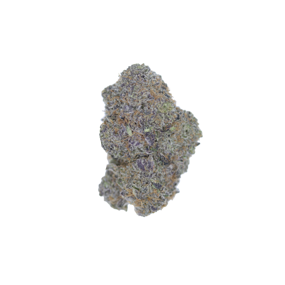 Clementine Sherbet Hybrid Cannabis Flower Clementine Sherbet Hybrid Cannabis Flower