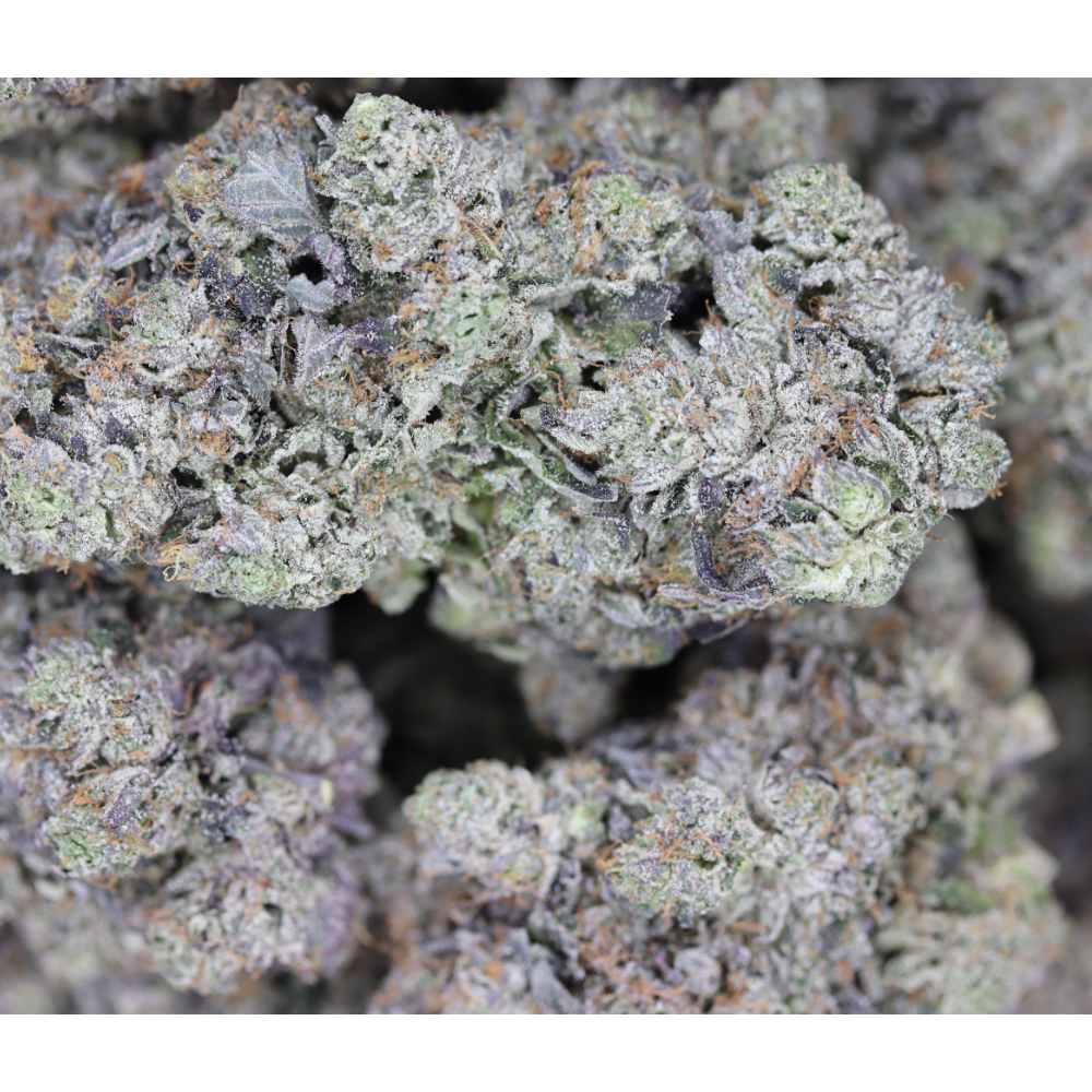Dank Schrader Indica anxiety Dank Schrader Indica anxiety