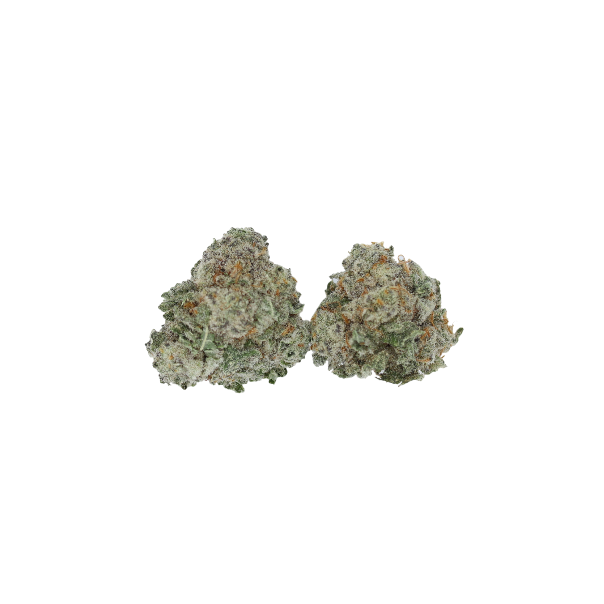 King Tart Smalls (1/2lb) Bulk Cannabis Flower King Tart Smalls (1/2lb) Bulk Cannabis Flower