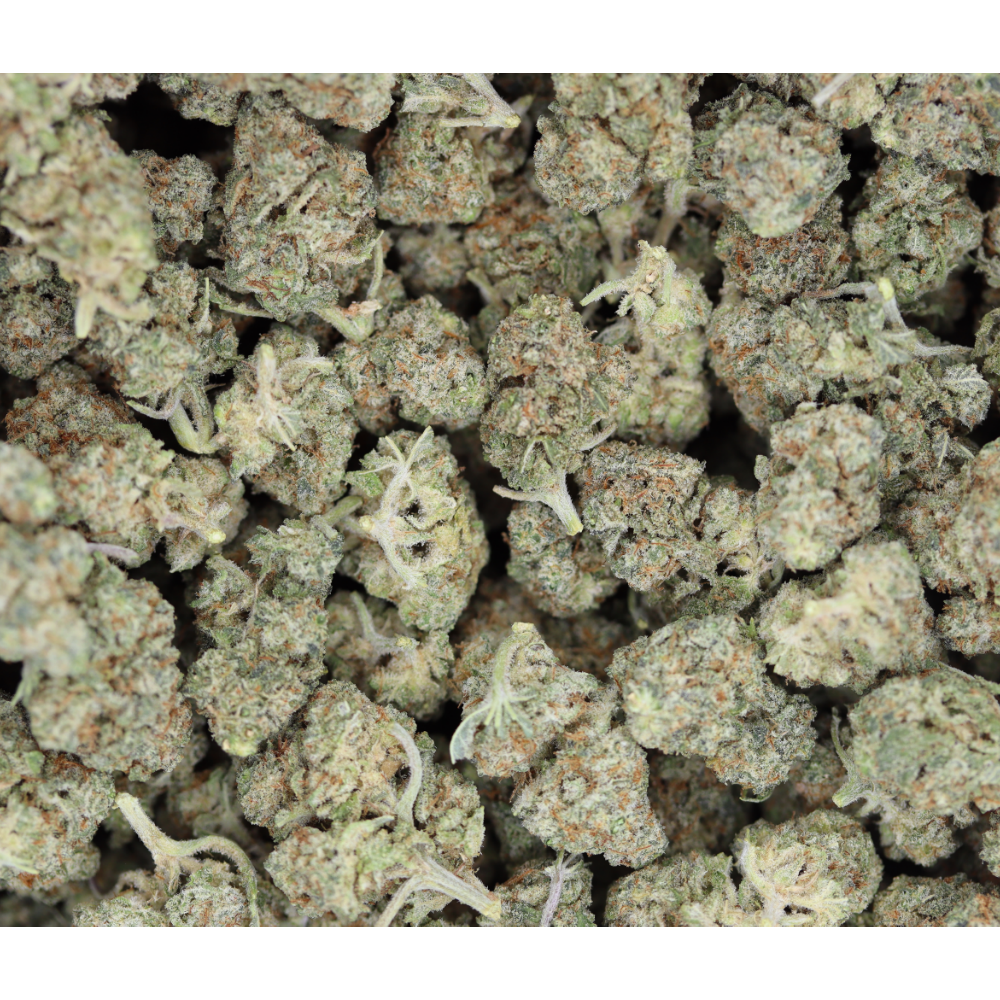 Macflurry Smalls Hybrid Anxiety Aid Macflurry Smalls Hybrid Anxiety Aid