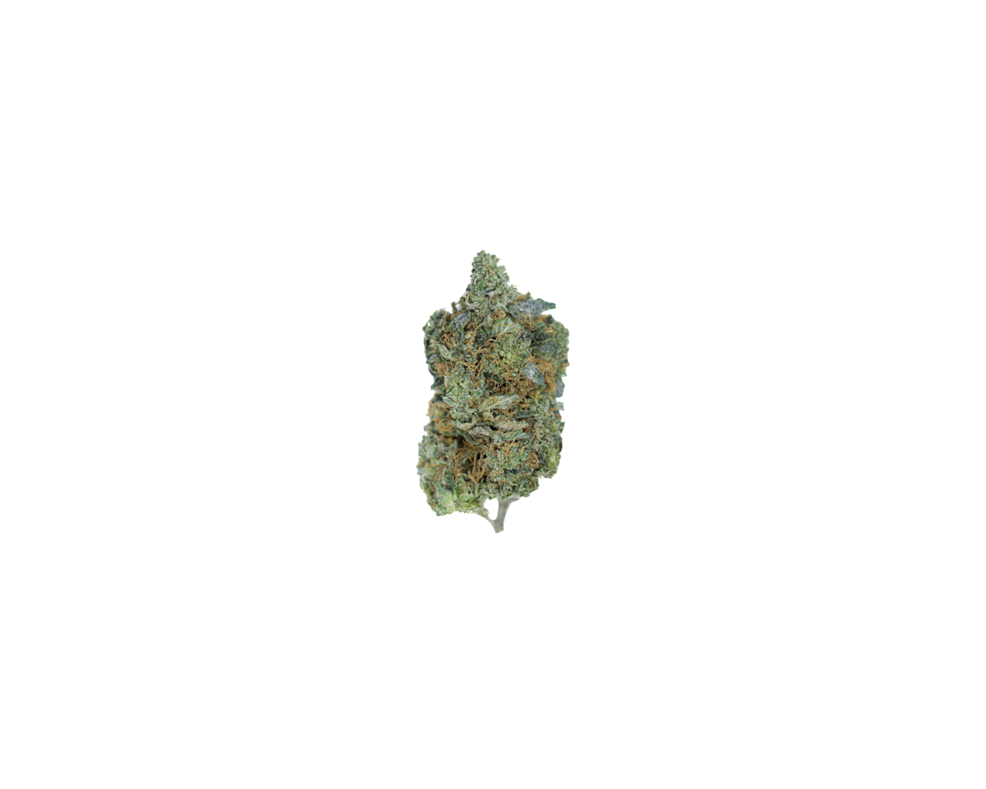 NY Diesel Hybrid Cannabis Flower NY Diesel Hybrid Cannabis Flower