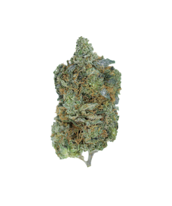AAA Flower 7G