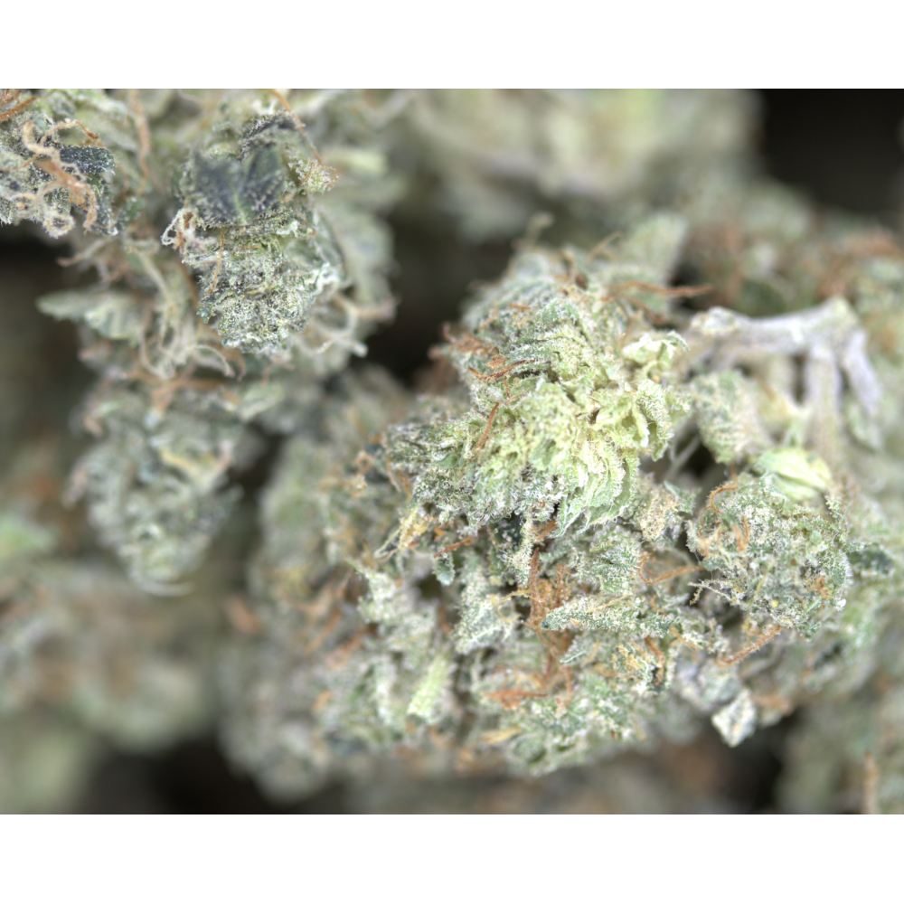 NY Diesel Hybrid Cannabis Flower NY Diesel Hybrid Cannabis Flower
