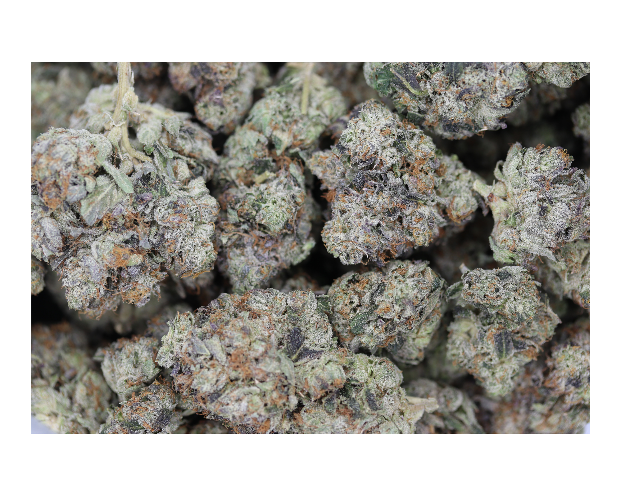 Peanut Butter Rockstar Indica Anxiety Reduction Peanut Butter Rockstar Indica Anxiety Reduction