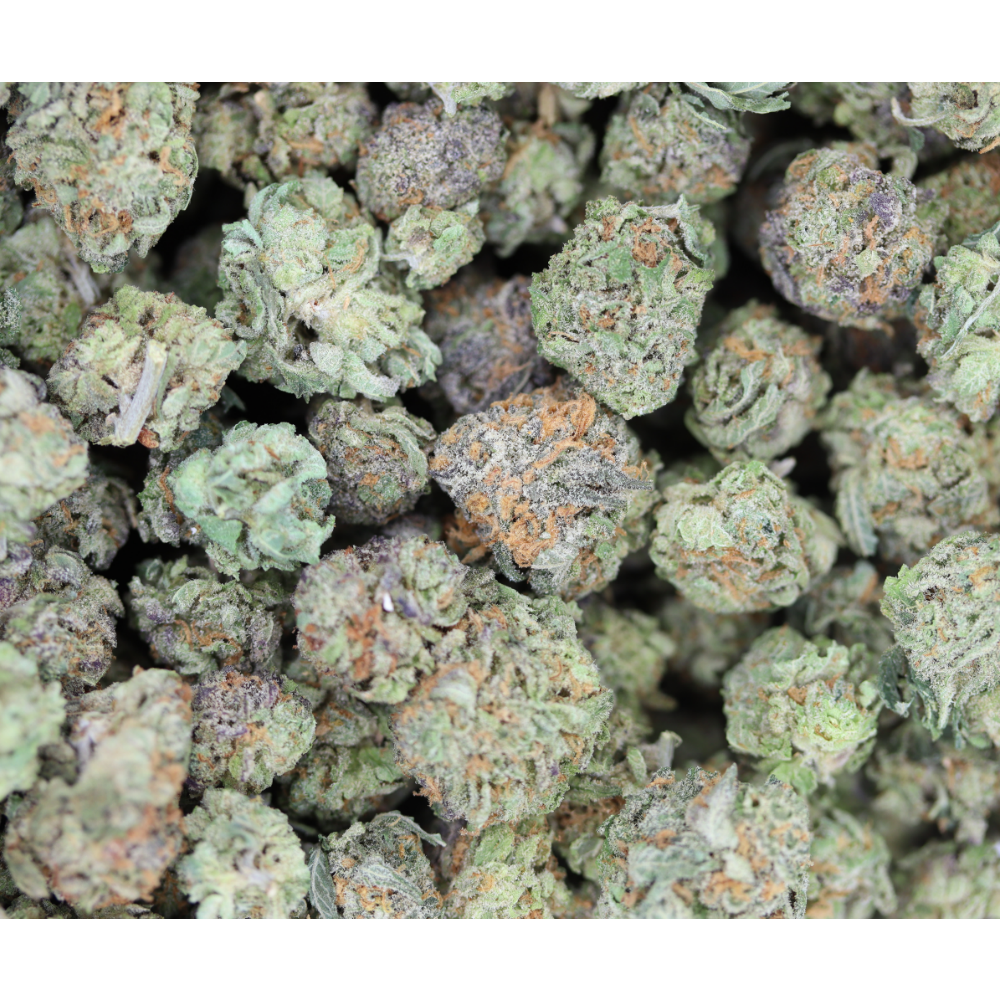 Rainbow Gusherz Smalls Hybrid Cannabis Flower Rainbow Gusherz Smalls Hybrid Cannabis Flower