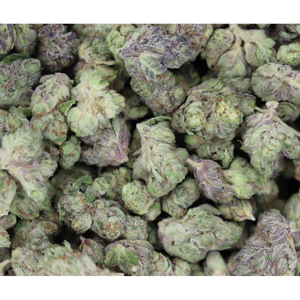 Raspberry Haze Smalls Sativa anxiety Raspberry Haze Smalls Sativa anxiety