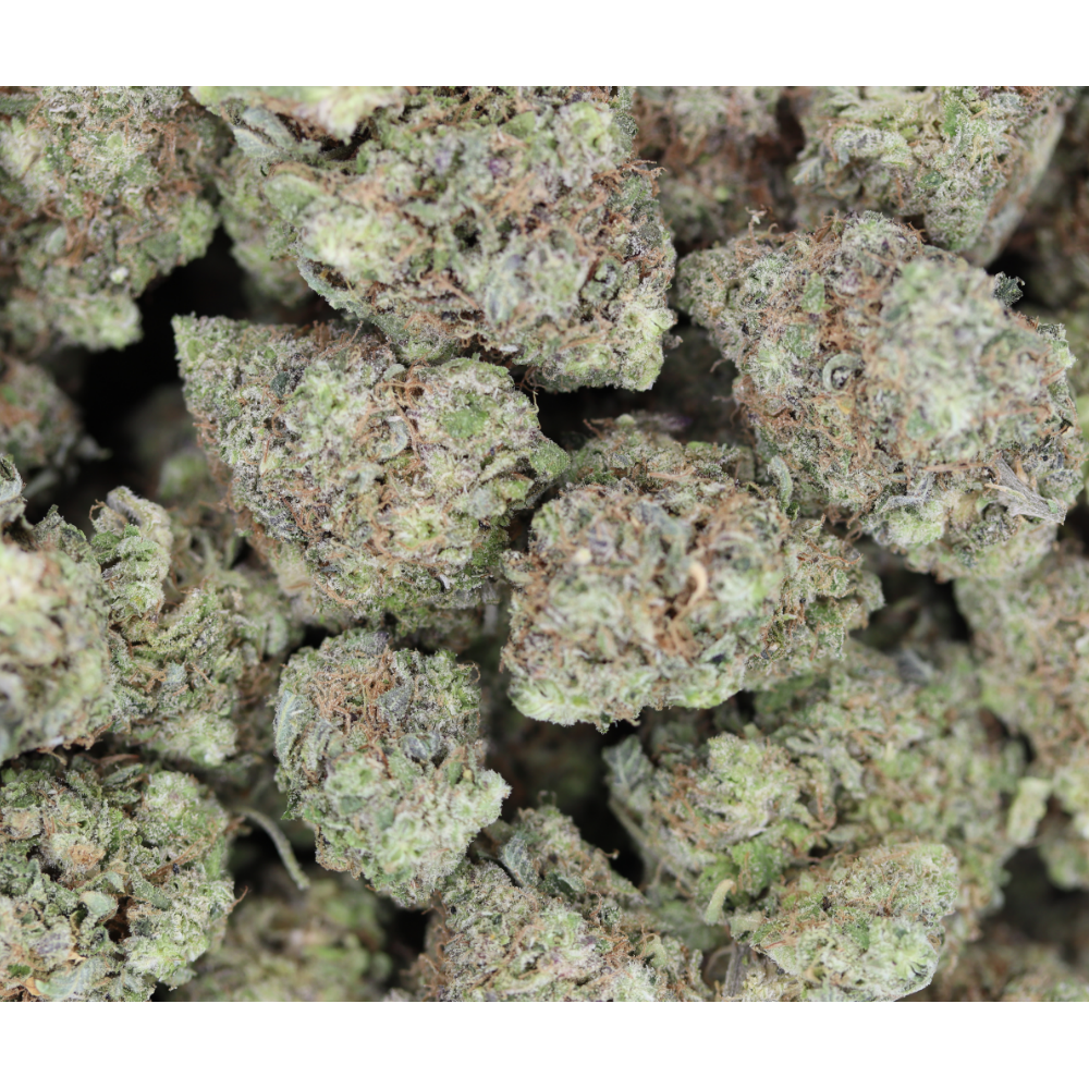 Sour Gorilla Sativa Cannabis Flowers Sour Gorilla Sativa Cannabis Flowers