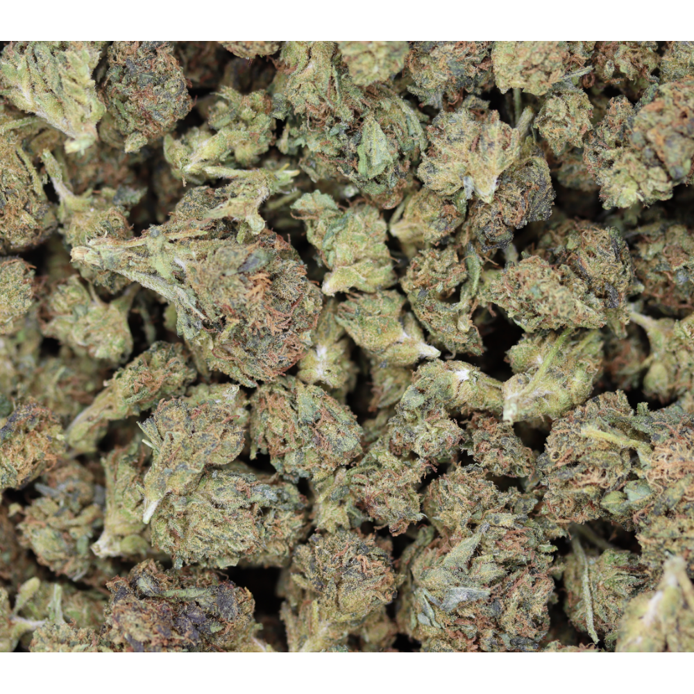 Apple Fritter Hybrid Anxiety Reduction Apple Fritter Hybrid Anxiety Reduction