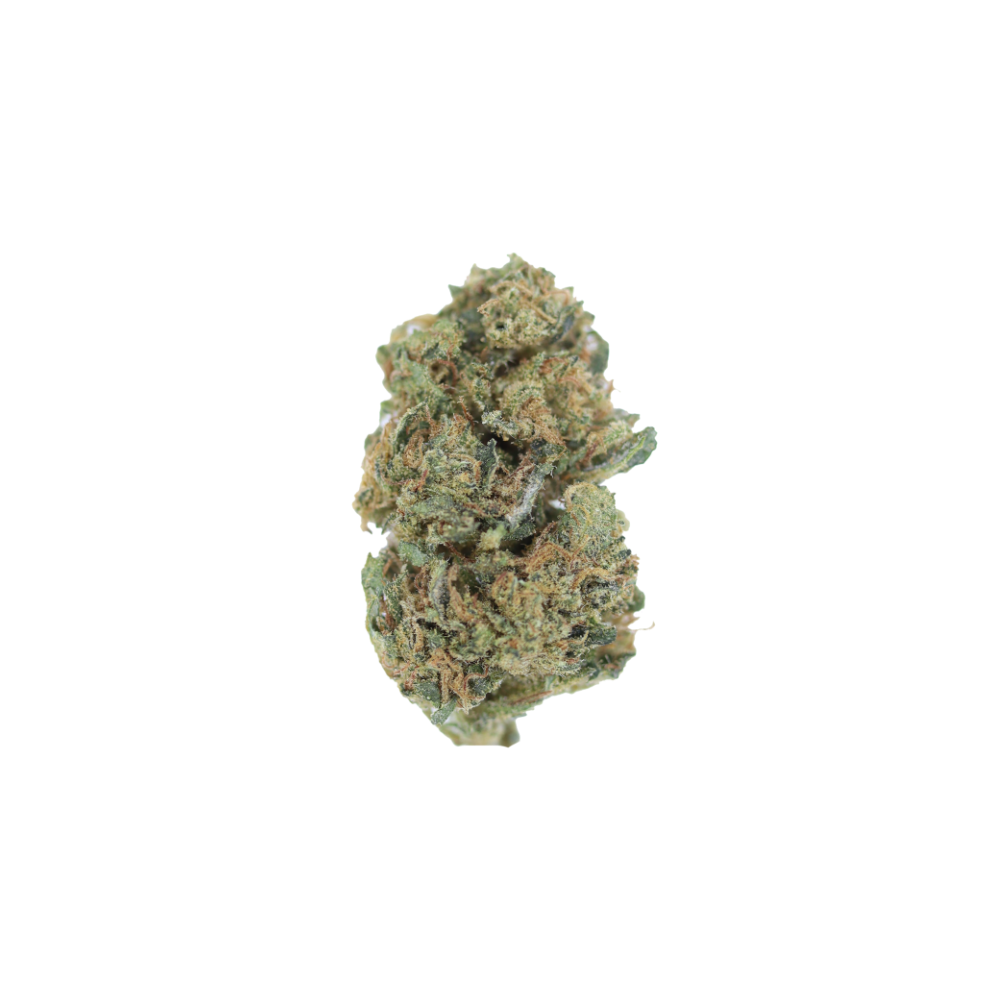 Apple Fritter Hybrid Anxiety Reduction Apple Fritter Hybrid Anxiety Reduction