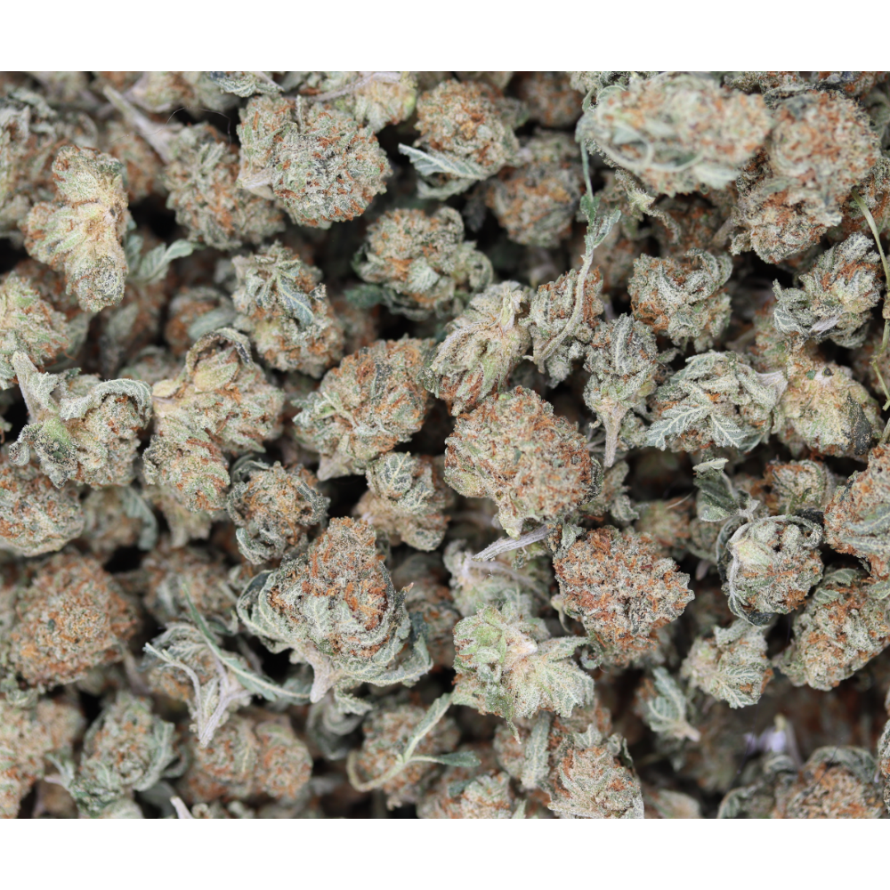 Blue Dream Smalls (1/2lb) Bulk Berry Blue Dream Smalls (1/2lb) Bulk Berry