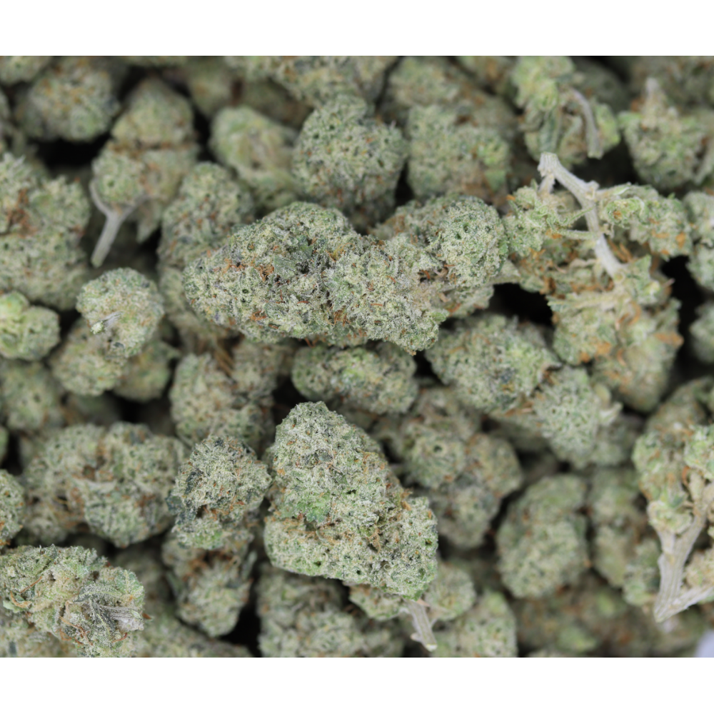 Truffle Cream Hybrid Cannabis Flower Truffle Cream Hybrid Cannabis Flower