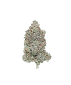 buy death og online
