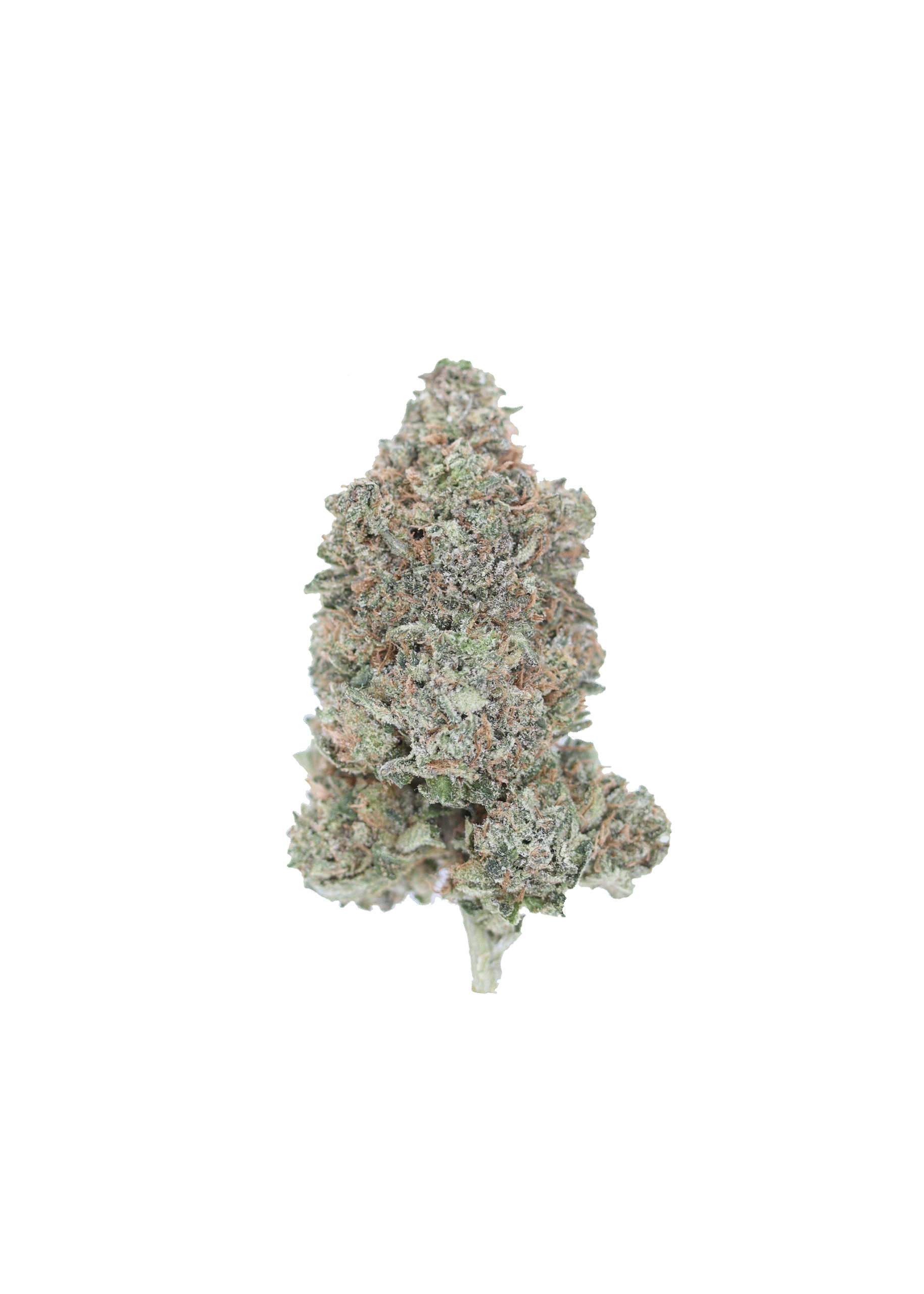 Death OG Indica Cannabis Flower Death OG Indica Cannabis Flower