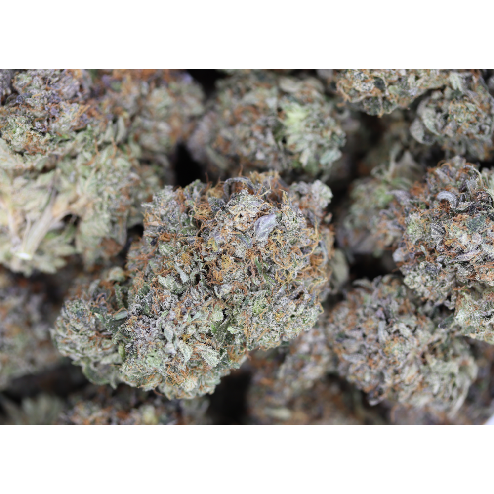 Gas Militia – Diablo Death Bubba Indica Cannabis Flower Gas Militia – Diablo Death Bubba Indica Cannabis Flower