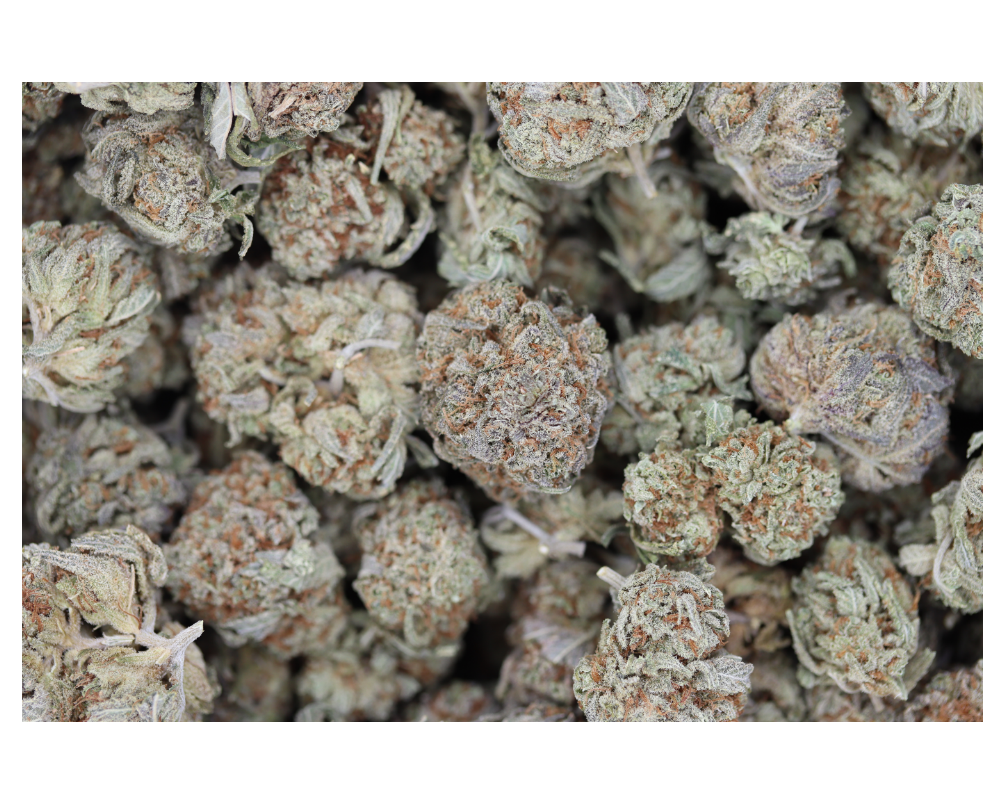 Gorilla King (1/2lb) Wholesale Flower Cannabis Flower Gorilla King (1/2lb) Wholesale Flower Cannabis Flower