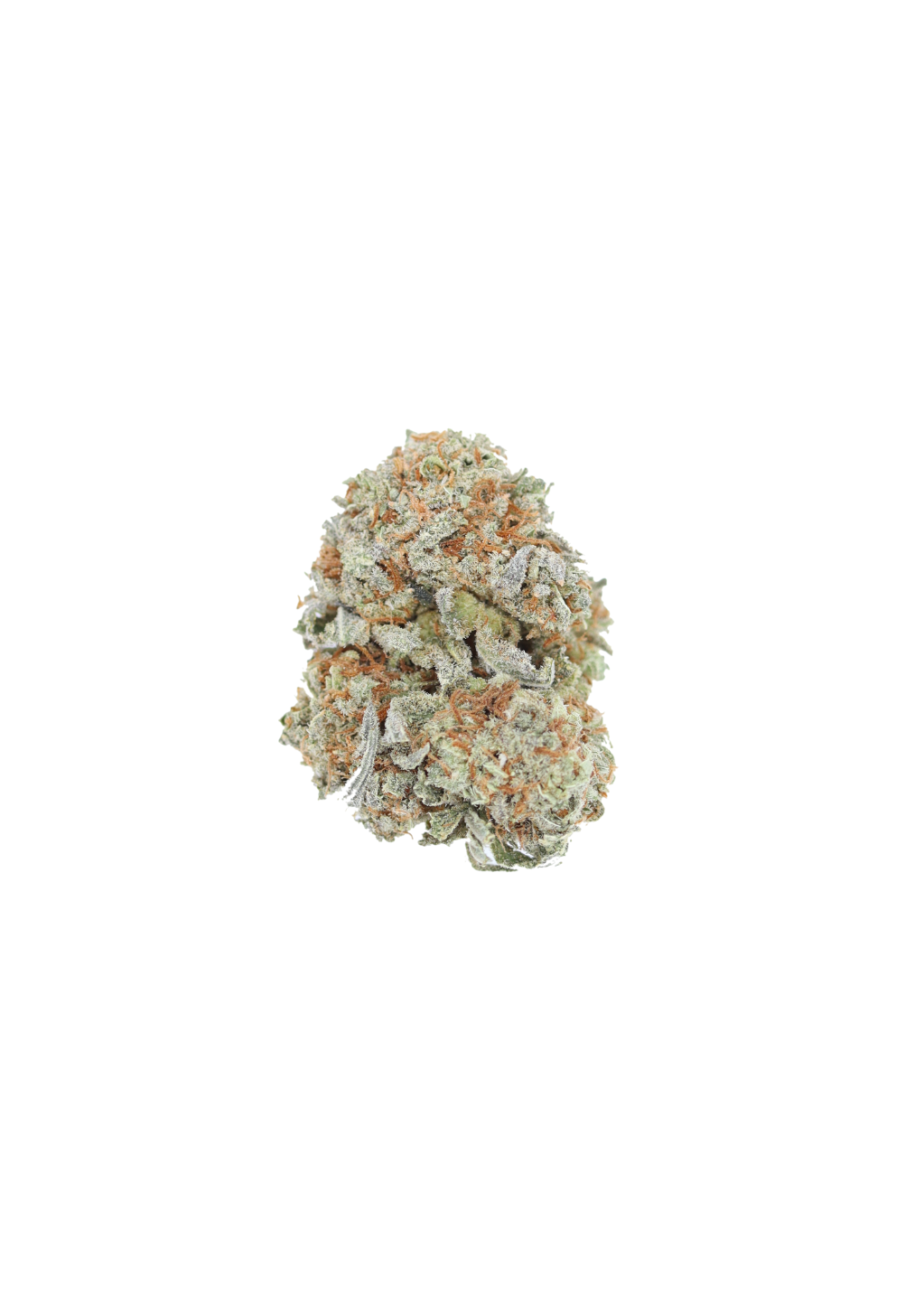 Gorilla King (1/2lb) Wholesale Flower Cannabis Flower Gorilla King (1/2lb) Wholesale Flower Cannabis Flower