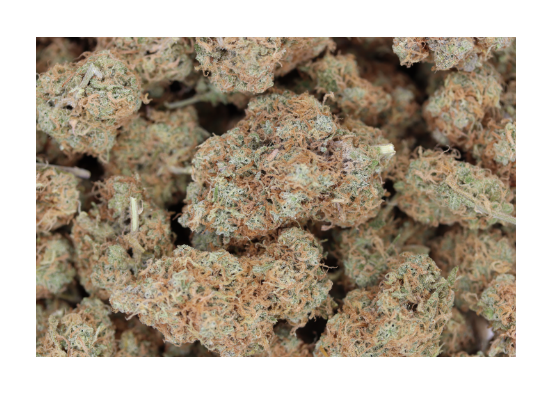 Green Crack Sativa anxiety Green Crack Sativa anxiety