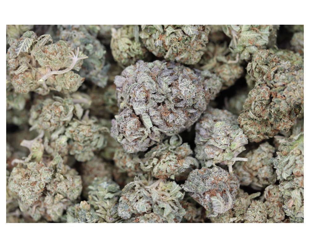 Pink Cookies (1/2lb) Bulk Cannabis Flower Pink Cookies (1/2lb) Bulk Cannabis Flower