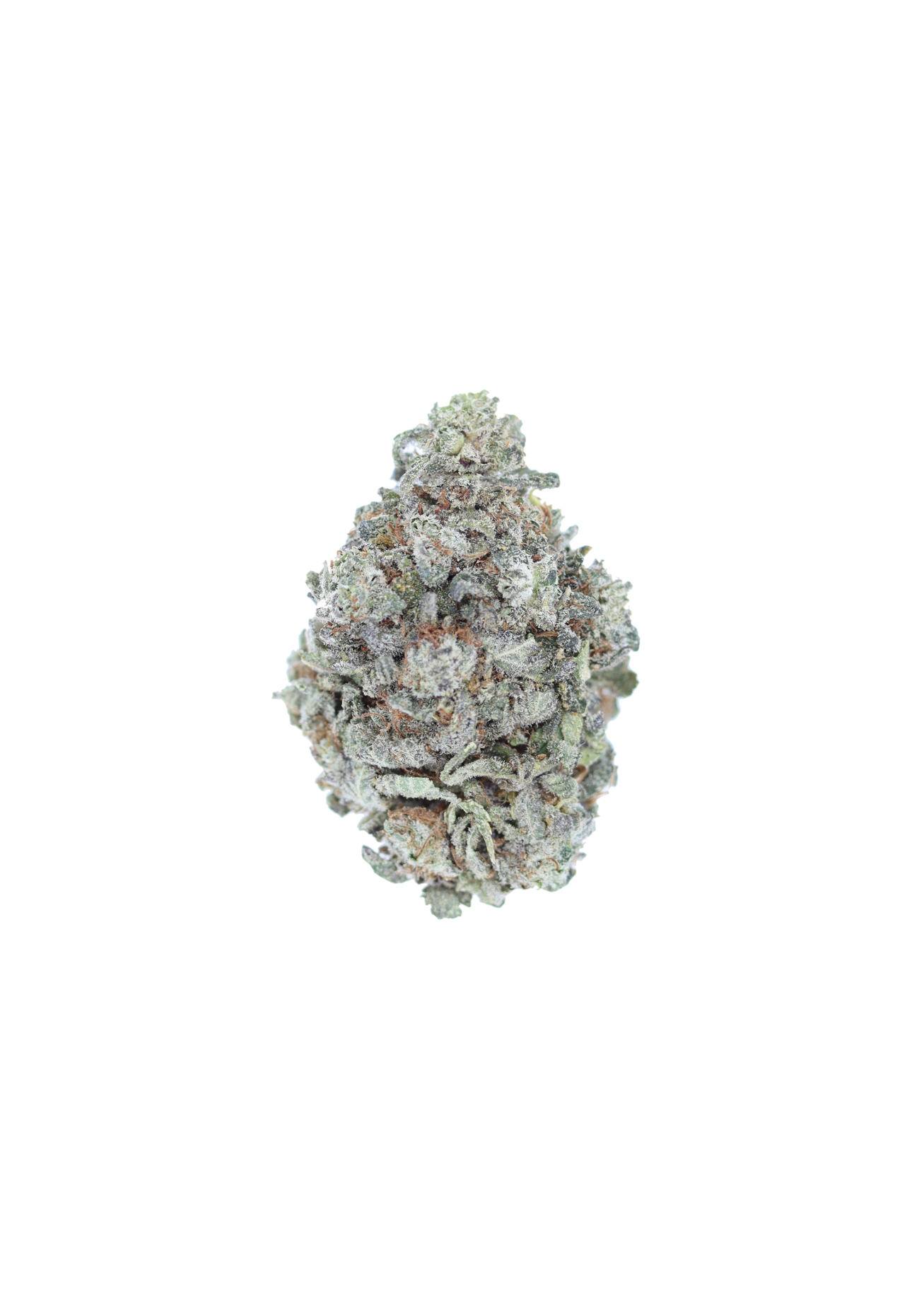Pink Cookies (1/2lb) Bulk Cannabis Flower Pink Cookies (1/2lb) Bulk Cannabis Flower