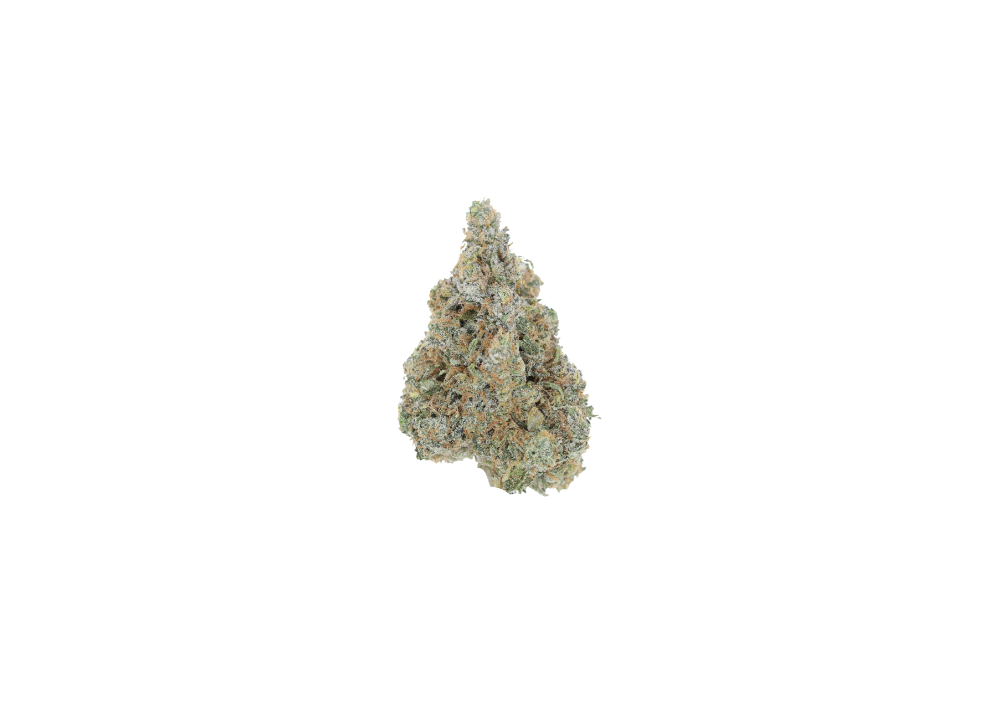 Purple Gusherz Hybrid anxiety Purple Gusherz Hybrid anxiety