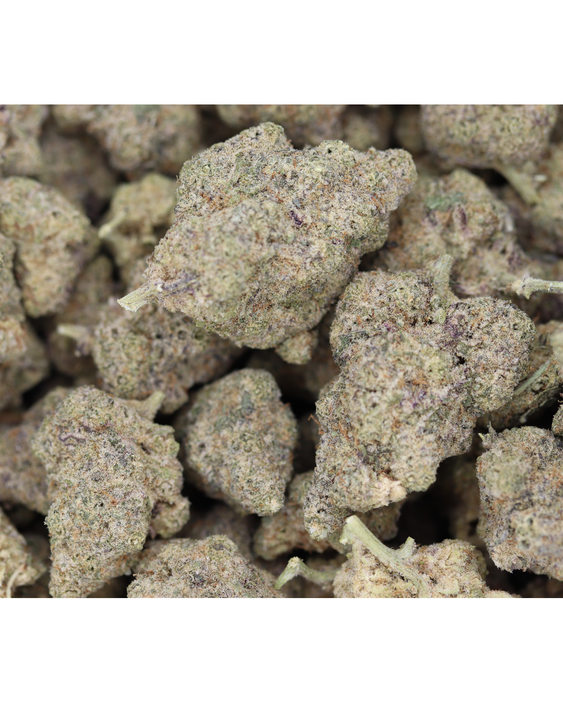 Rainbow Rozay Sativa candy Rainbow Rozay Sativa candy