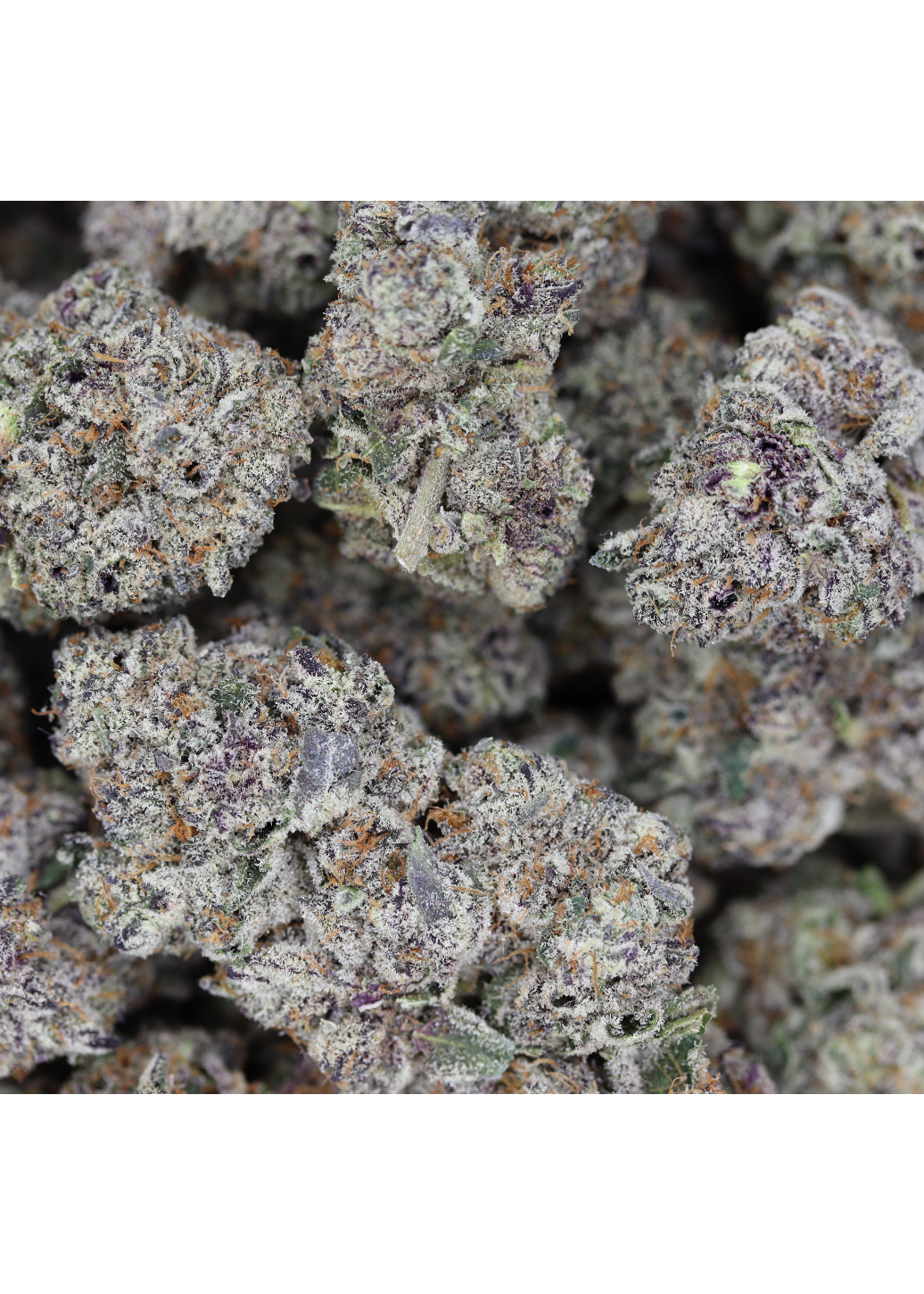 Island Exotics – Slurricane Indica Anxiety Management Island Exotics – Slurricane Indica Anxiety Management
