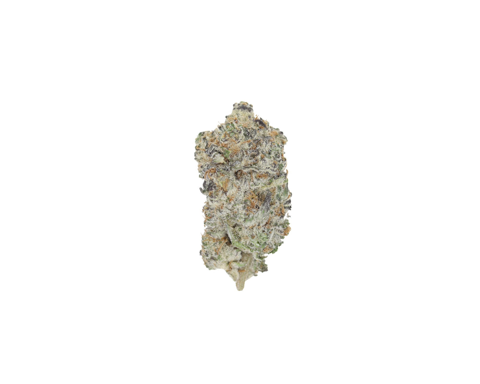 Blue Zushi Hybrid Anxiety Reduction Blue Zushi Hybrid Anxiety Reduction