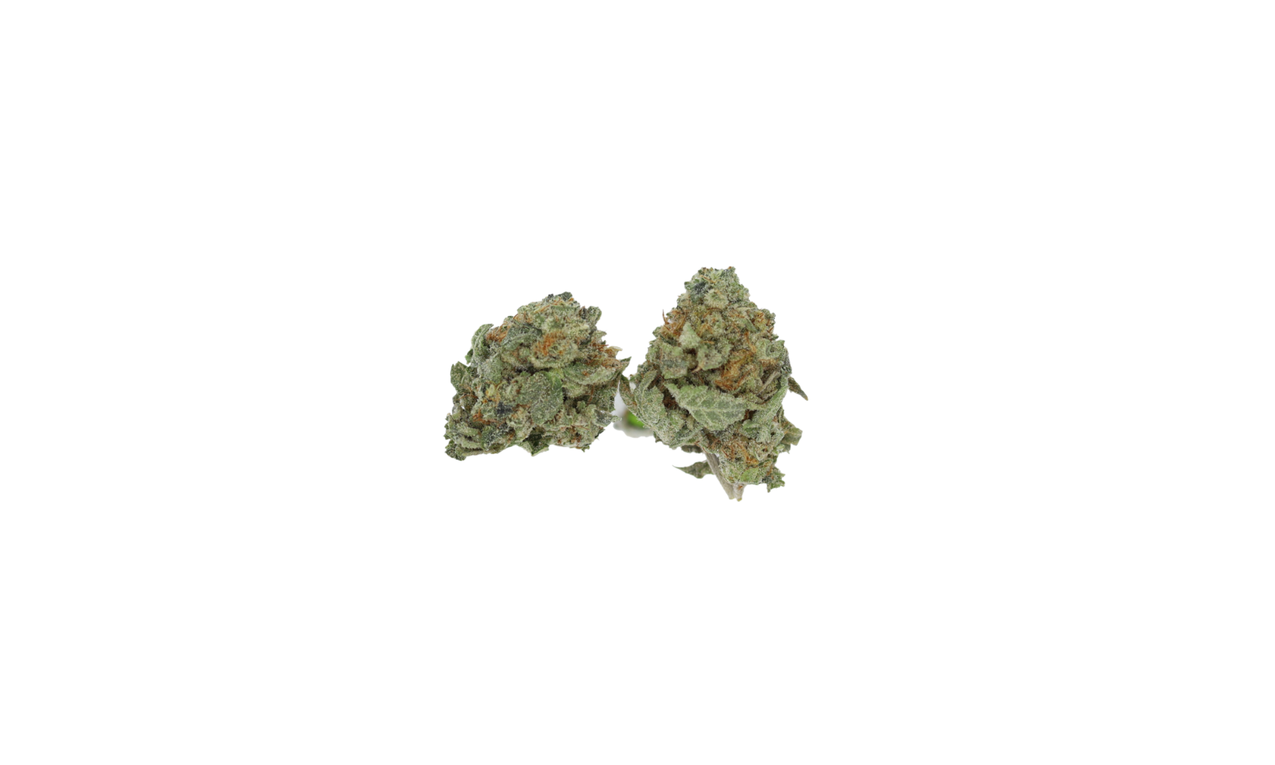 Coma OG Smalls (1/2lb) Bulk Cannabis Flower Coma OG Smalls (1/2lb) Bulk Cannabis Flower