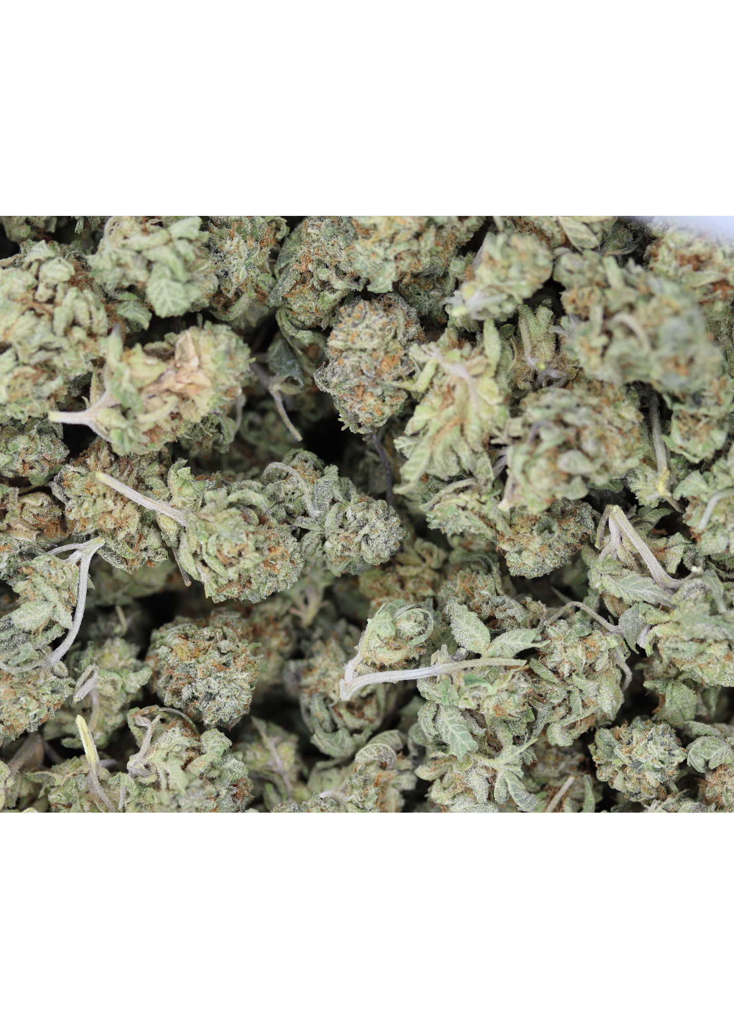 Coma OG Smalls (1/2lb) Bulk Cannabis Flower Coma OG Smalls (1/2lb) Bulk Cannabis Flower