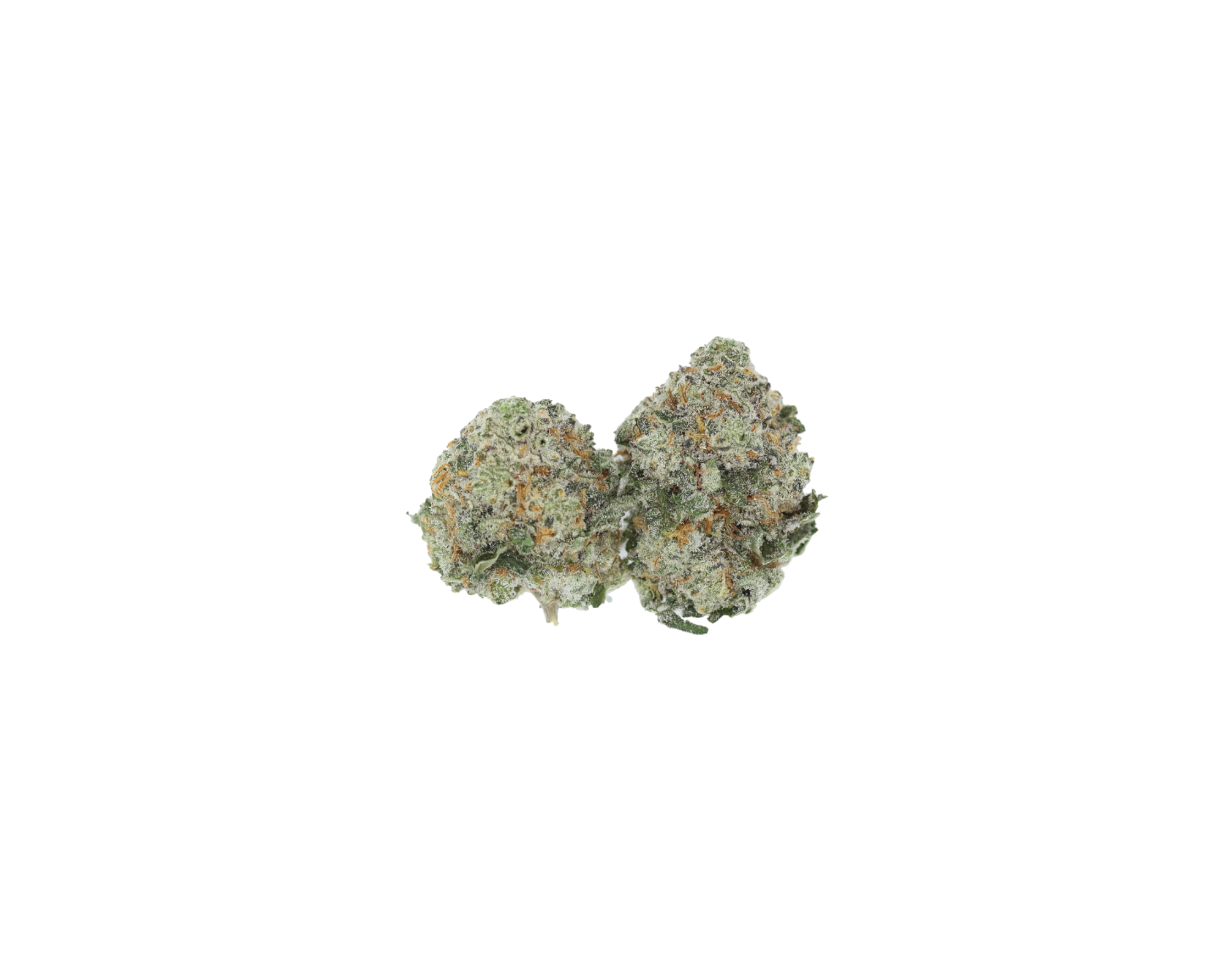 Cookies n Cream Smalls (1/2lb) Wholesale Flower Cannabis Flower Cookies n Cream Smalls (1/2lb) Wholesale Flower Cannabis Flower