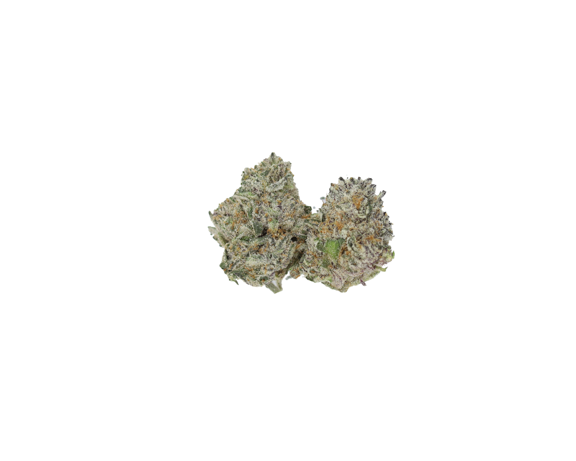 Dosidos Smalls (1/2lb) Wholesale Flower Cannabis Flower Dosidos Smalls (1/2lb) Wholesale Flower Cannabis Flower