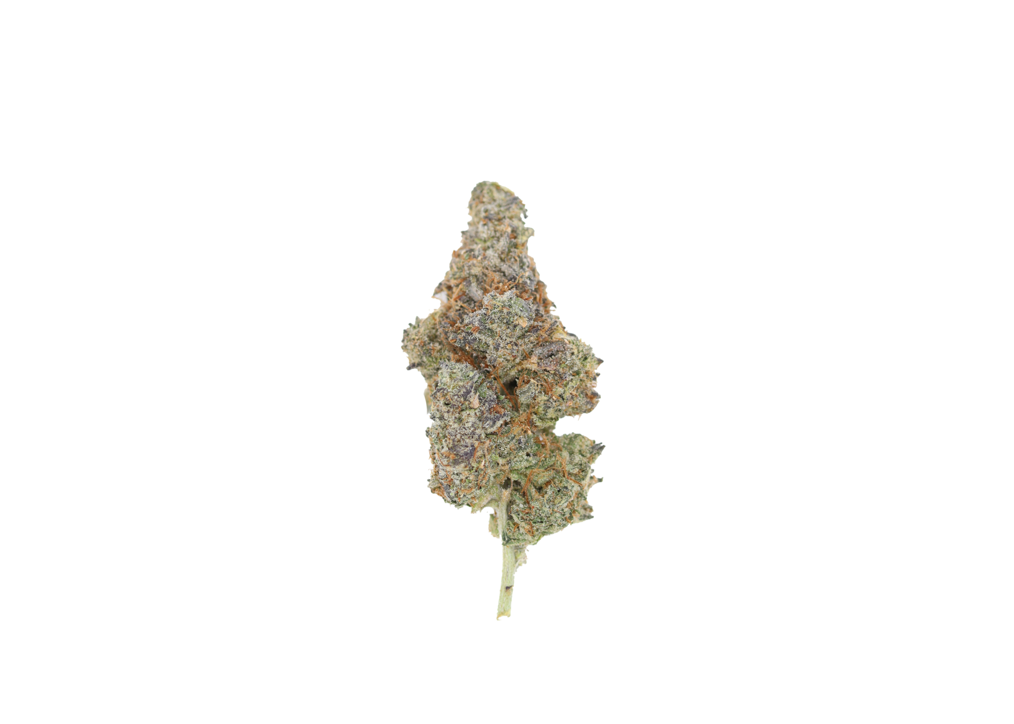 Greasy Apple (LSO) Indica Anxiety Reduction Greasy Apple (LSO) Indica Anxiety Reduction