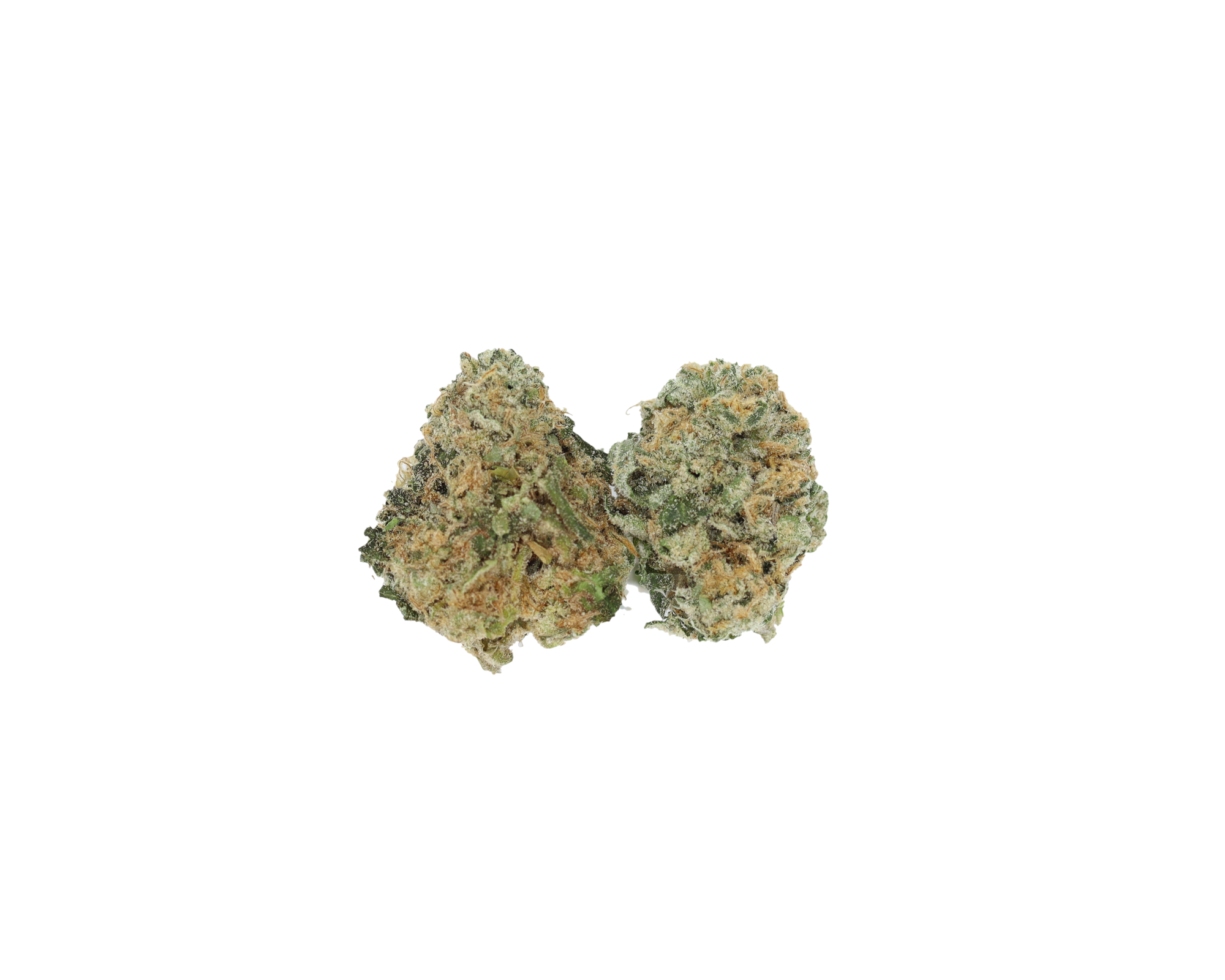 Gusherz Smalls (1/2lb) Wholesale Flower Cannabis Flower Gusherz Smalls (1/2lb) Wholesale Flower Cannabis Flower