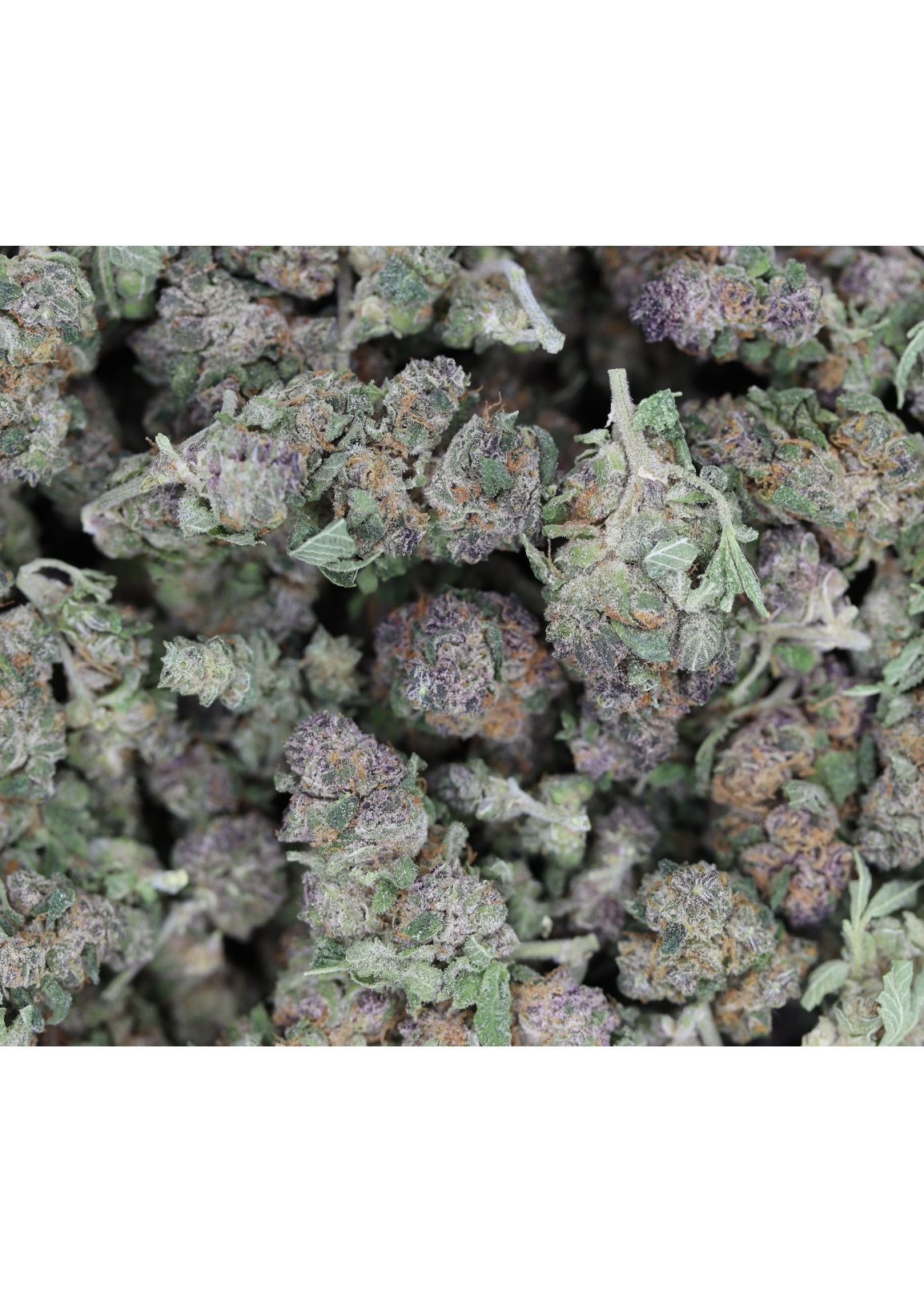 Hawaiian Dream Smalls (1/2lb) Bulk Cannabis Flower Hawaiian Dream Smalls (1/2lb) Bulk Cannabis Flower