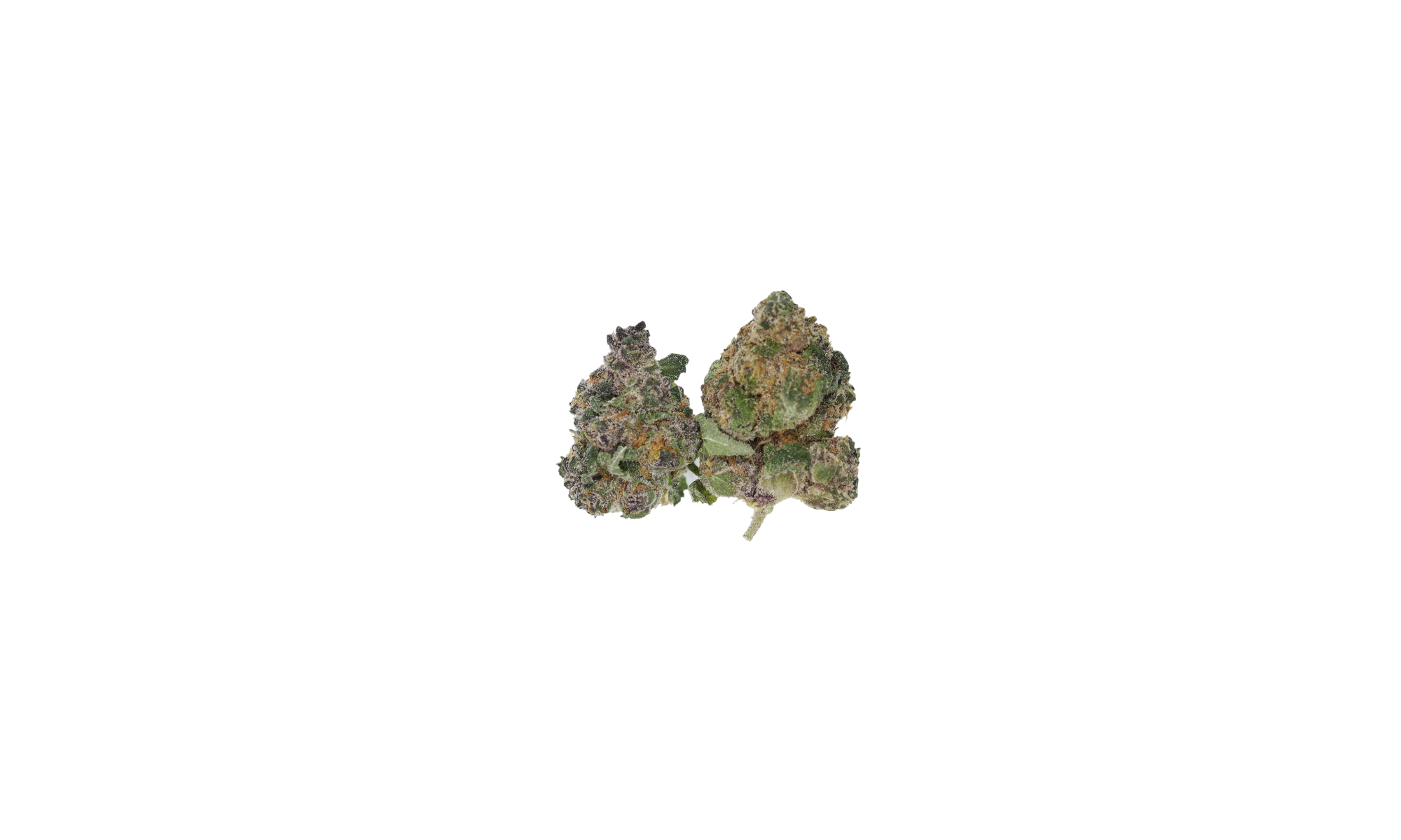Hawaiian Dream Smalls (1/2lb) Bulk Cannabis Flower Hawaiian Dream Smalls (1/2lb) Bulk Cannabis Flower