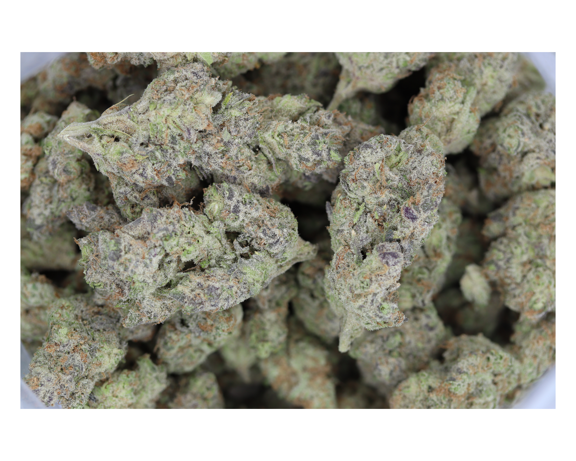 Island Exotics – Durban Poison All Strains floral Island Exotics – Durban Poison All Strains floral