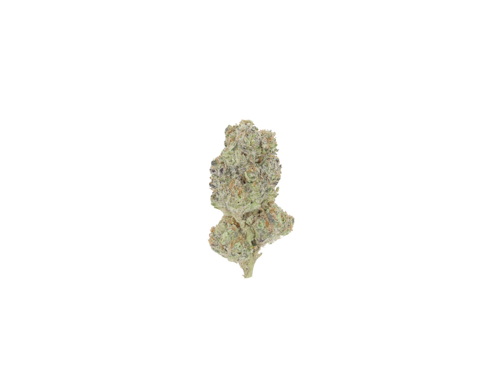 Island Exotics – Durban Poison All Strains floral Island Exotics – Durban Poison All Strains floral