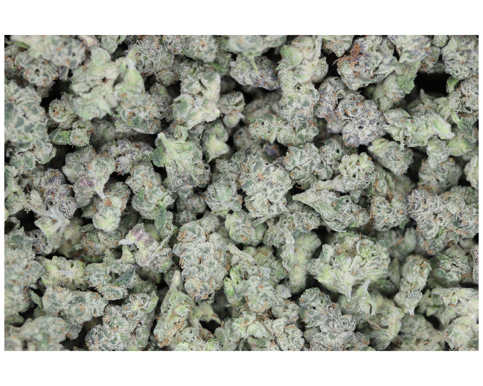 Krispy Kreme Smalls All Strains Cannabis Flower Krispy Kreme Smalls All Strains Cannabis Flower